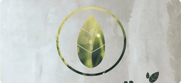 Leaf logo debossed on folded paper
